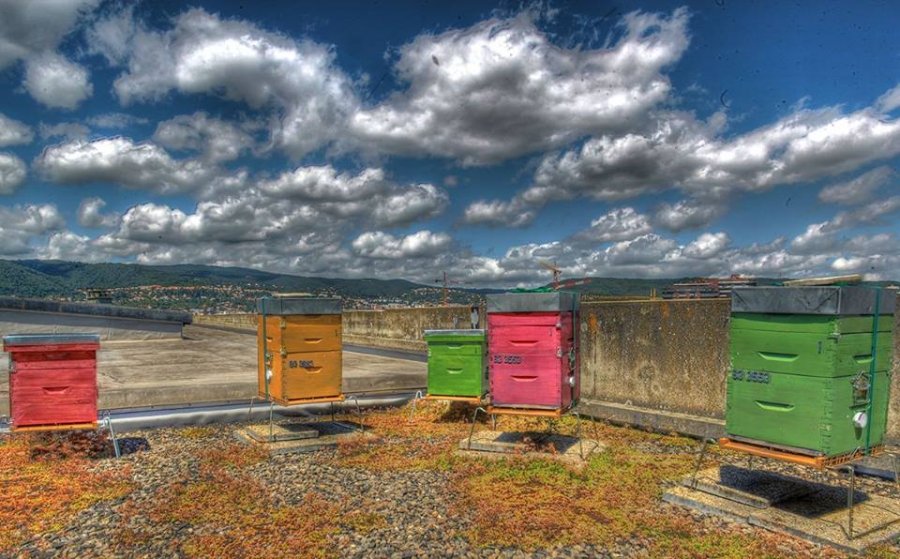 ziraat bankasi 2017 faizsiz ciftci kredisi aricilik gazetesi turkey beekeeping newspaper guner kayral