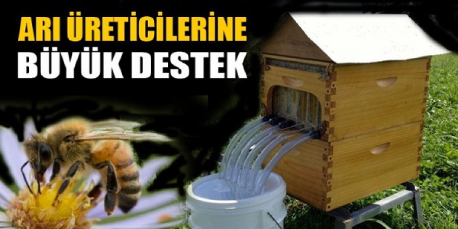 aricilik gazetesi
