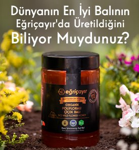 Eğriçayır - Dünyanın En İyi Balı