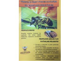 ‘’ Propolis Üretiyorum Kovanımı ve İnsanları Koruyorum’’ Projesi