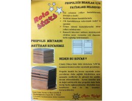 ‘’ Propolis Üretiyorum Kovanımı ve İnsanları Koruyorum’’ Projesi