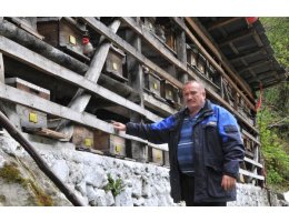 Artvinli Arıcı, Kovanlara Ulaşabilmek İçin Kabinli Teleferik Hattı Kurdu