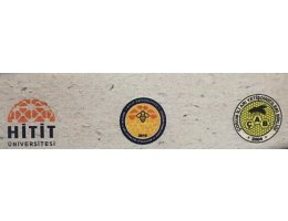 22 Kasım 2017 Çorum Arı Ürünlerinin Üretim ve Pazarlamada Yaşanılan Sorunlar Paneli Düzenlendi