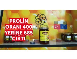 İkizce Kestane Balı Marka Oldu 