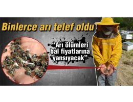  Arıları Yok Etmeye Çalışan Küresel Şirketler