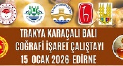 Trakya Karaçalı Balı 