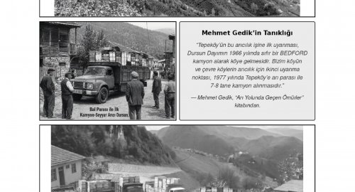 YAŞAYAN BİR KÜLTÜREL MİRAS OLARAK TEPEKÖY ARICILIĞI -HAFIZASI, İLKLERİ,...